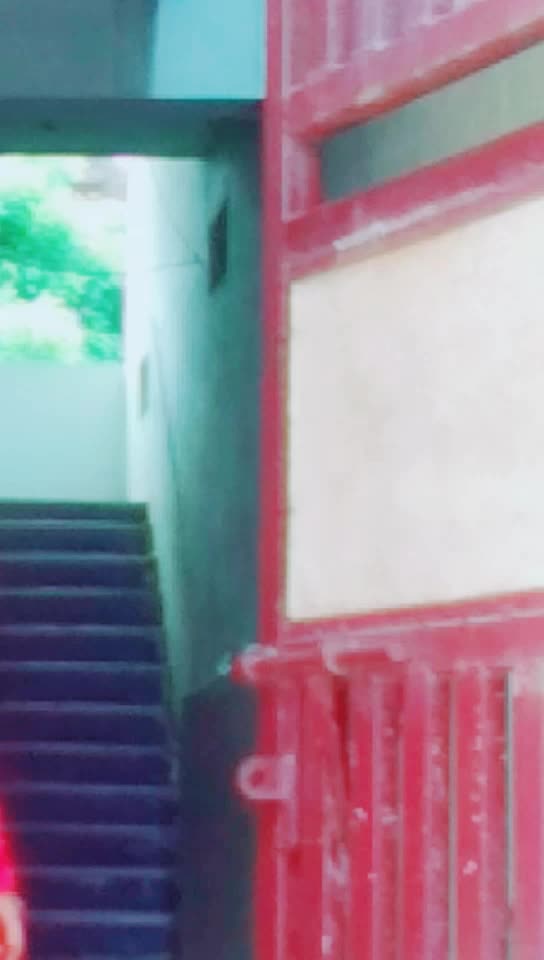 @bindu potti