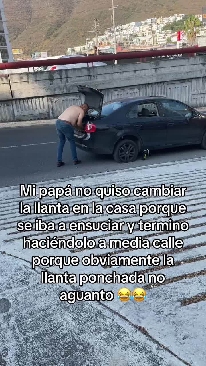 @Carolina Bernal