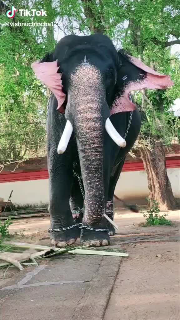 @Akash Kukku