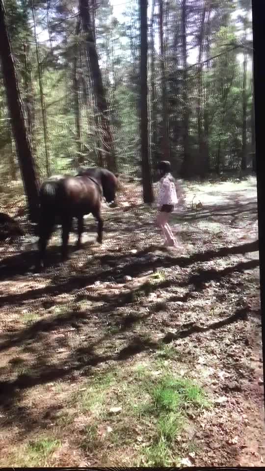 @eventingridersx