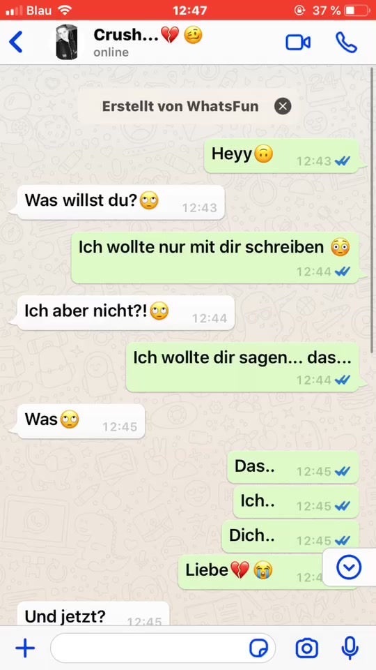 @WhatsFun.chat