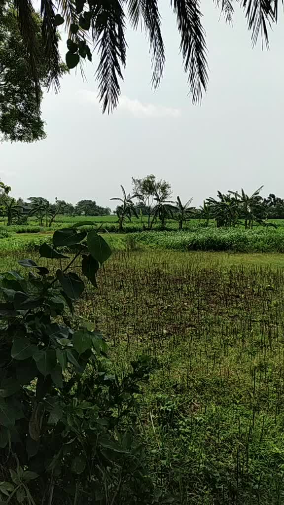 @Rajjak mandal