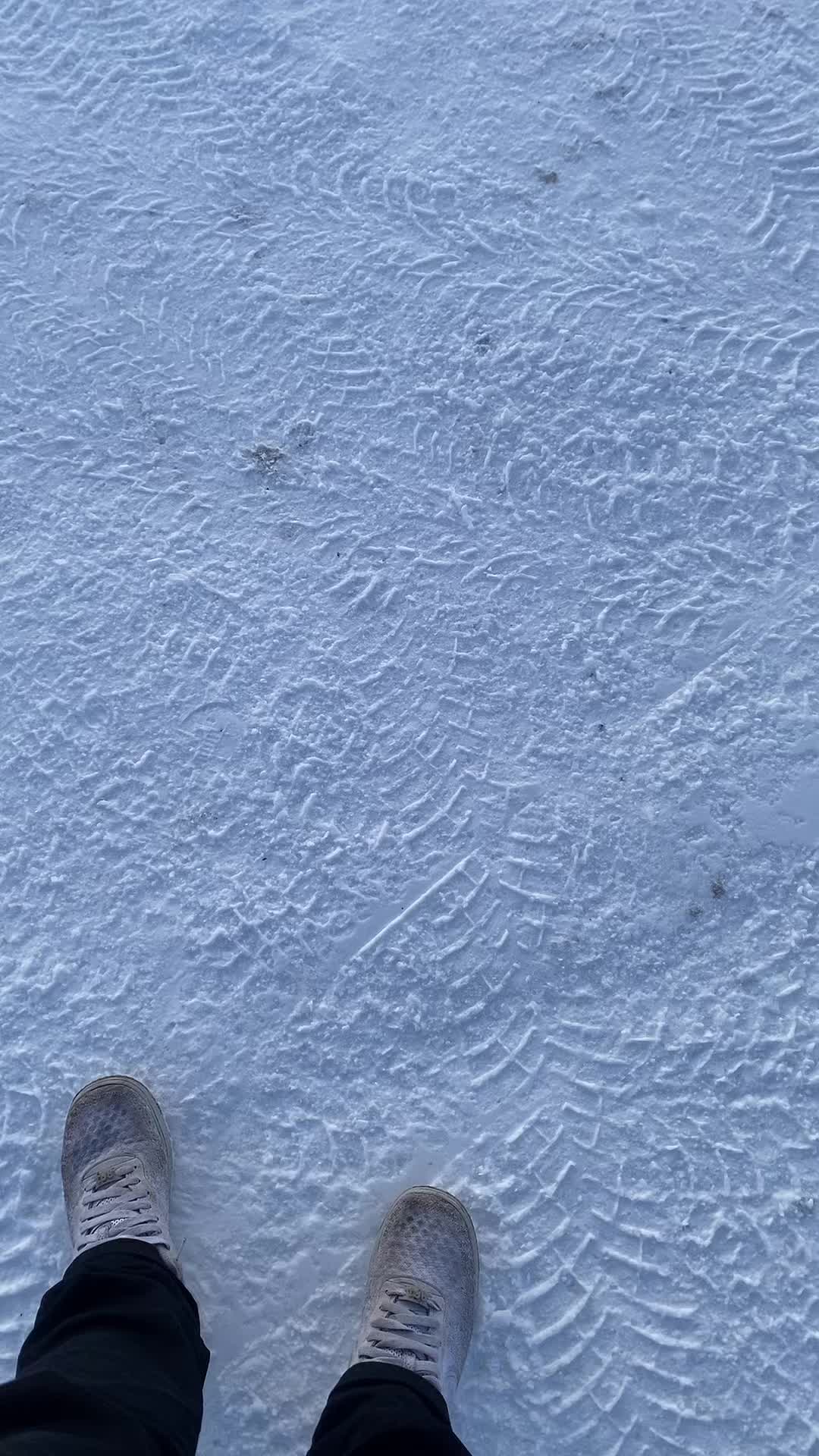@jbosss
