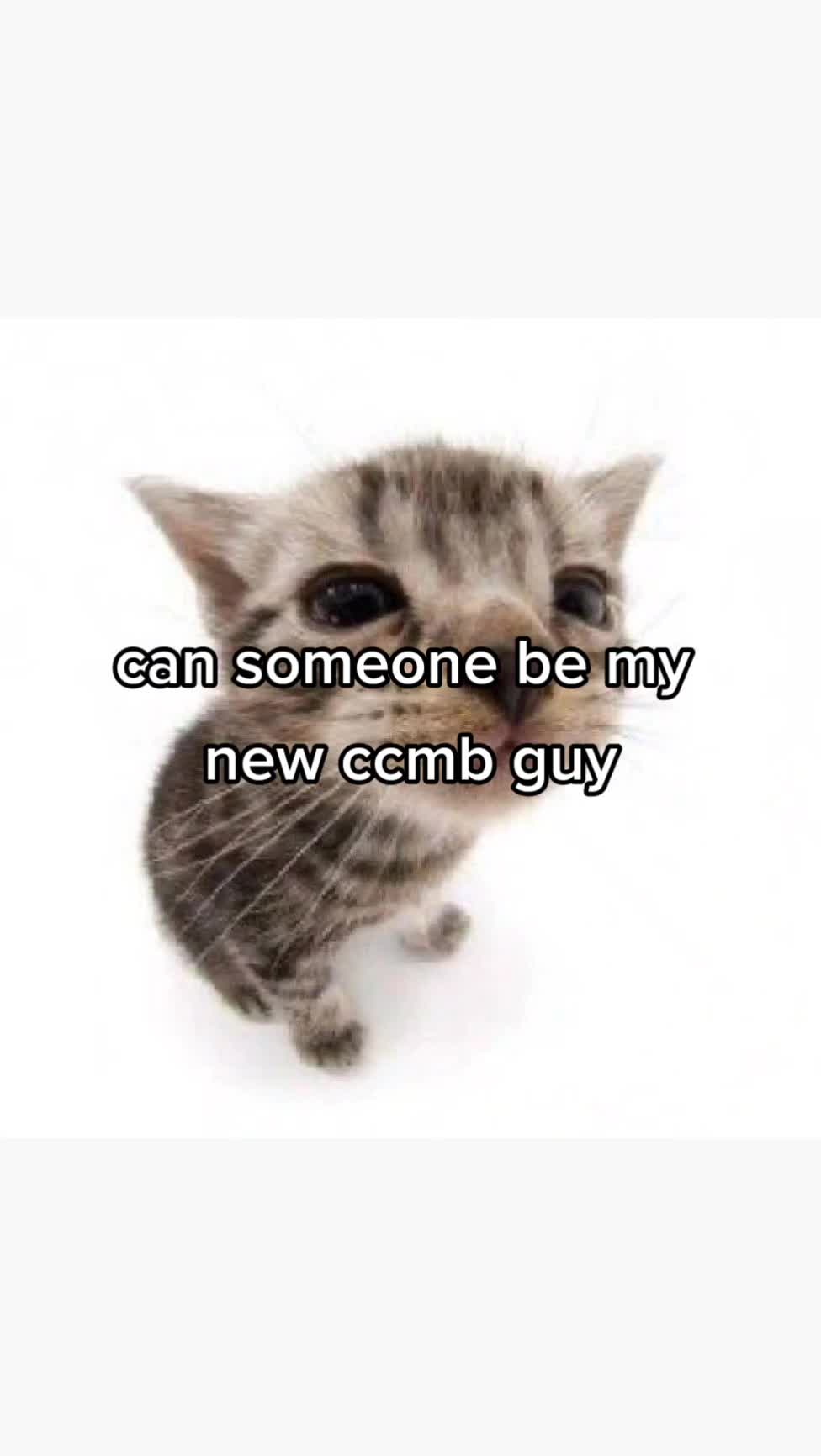 @Lol