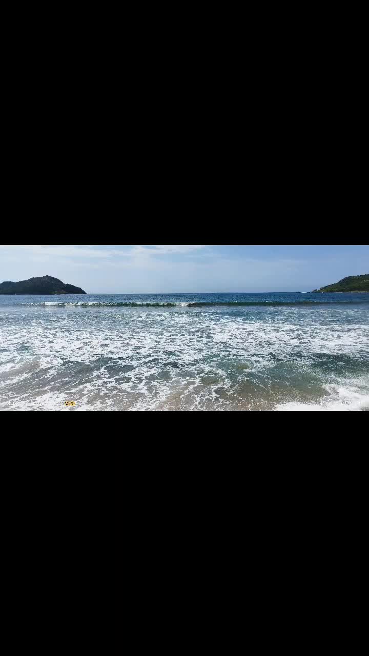 @chicabi.potter