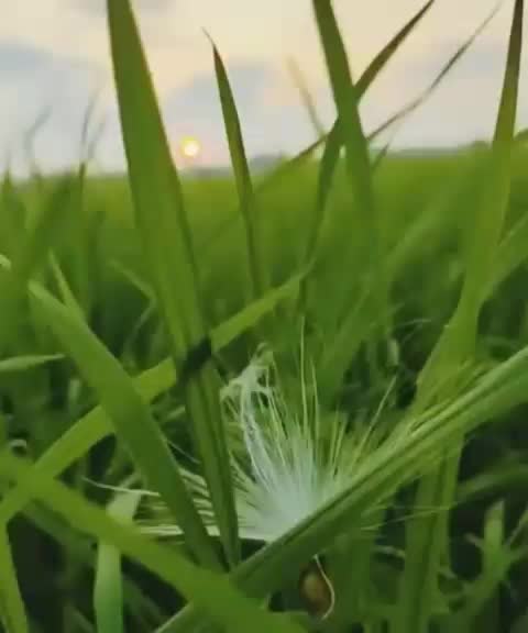 @💫__Nandhana S__💫