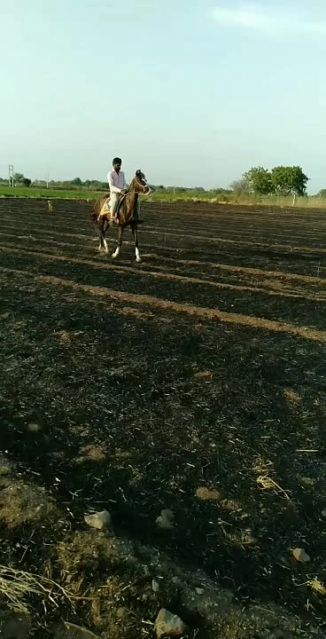 @vishvajit_sinh_9