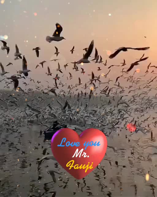 @vanshika verma 1432