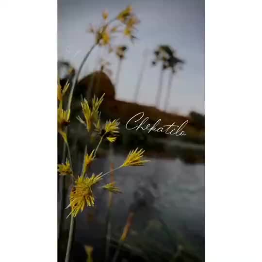 @user61445528780