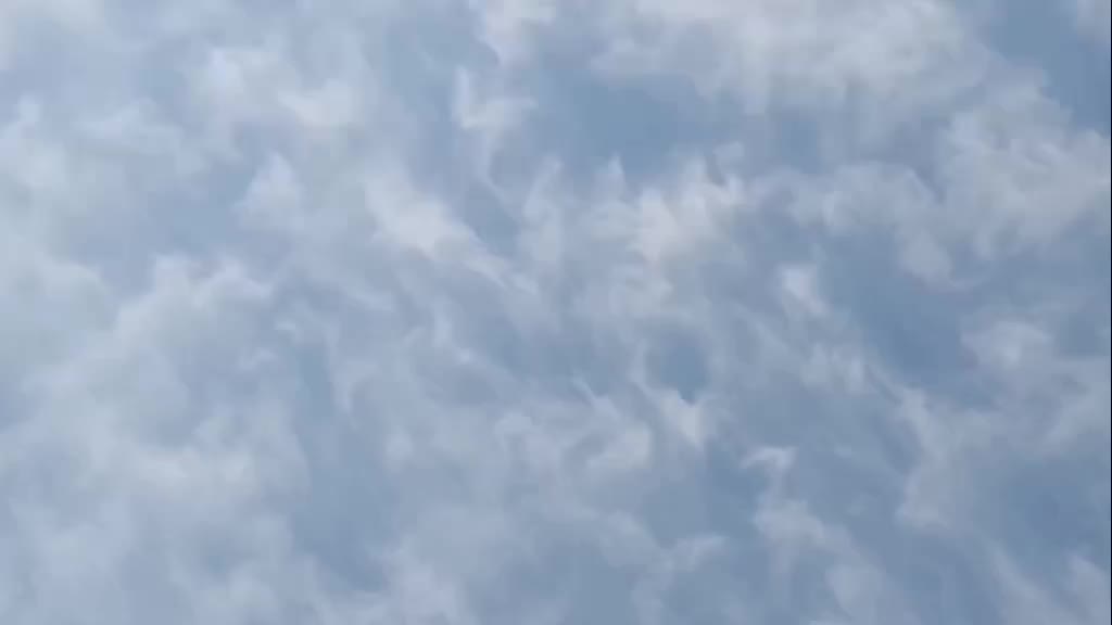 @salman khan