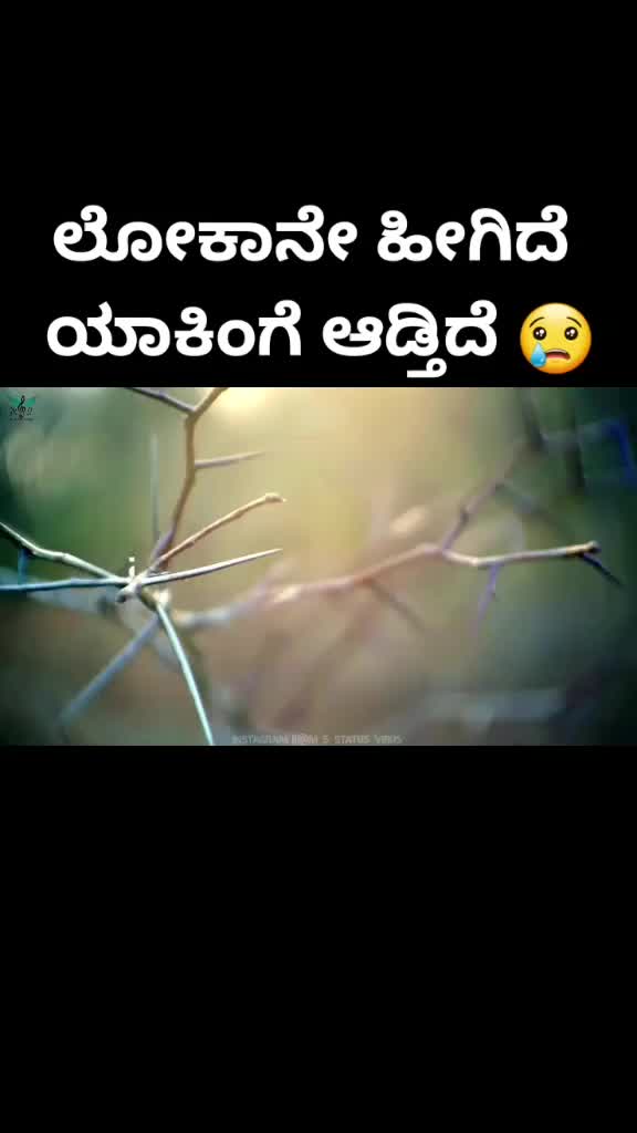 @ಅಶ್ವಿನಿ ಕನ್ನಡತಿ ❤🥰