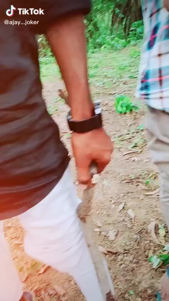 @rajinikanth
