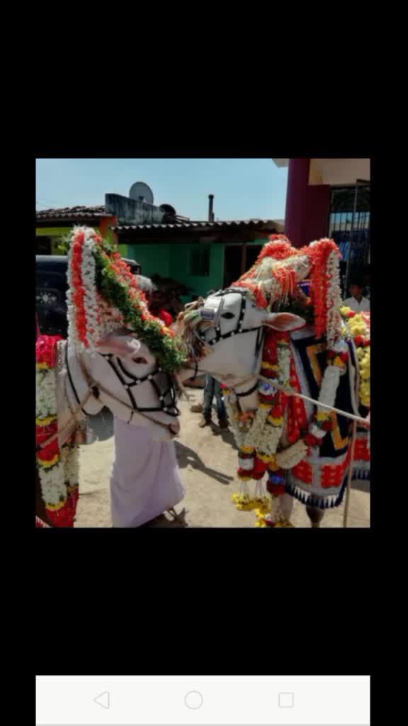 @ಭೋಮ್ಮ ಲಿಂಗೇಶ್ವರ ಬಸಪ