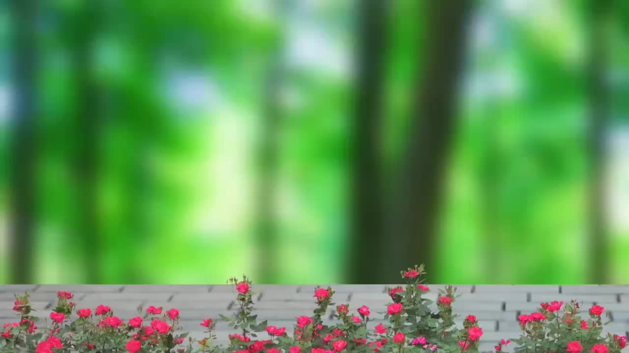 @๐
๐
ธ ๐
ฟ ๐
ฑ๐
พ๐