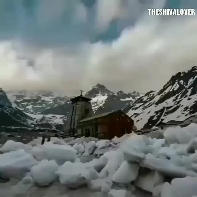 @anshikadwivedi