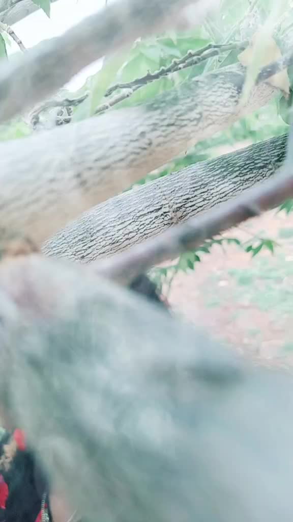@Hrishikesh