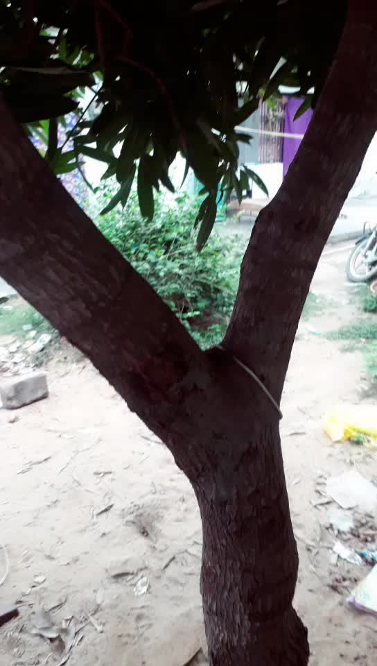 @@Narasimha Nellore