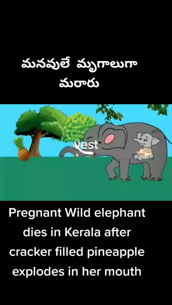 @Vallepu Srikanth