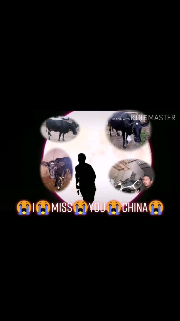 @🐂Sachin8453847757🐂