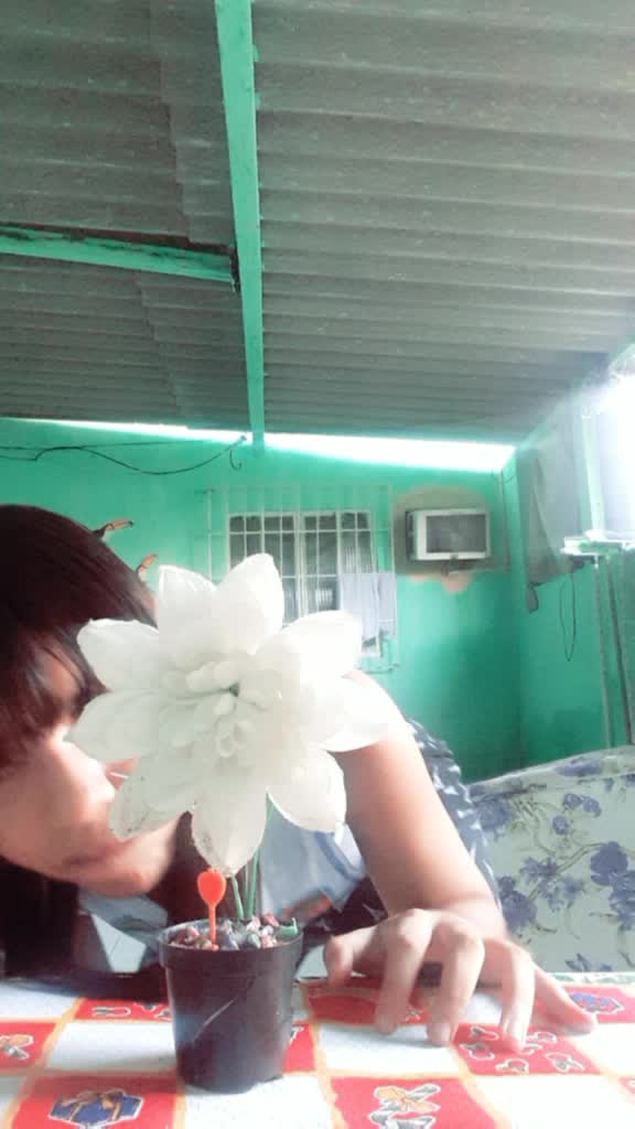 @kim vi๐๐๐ฆ๐ฑ