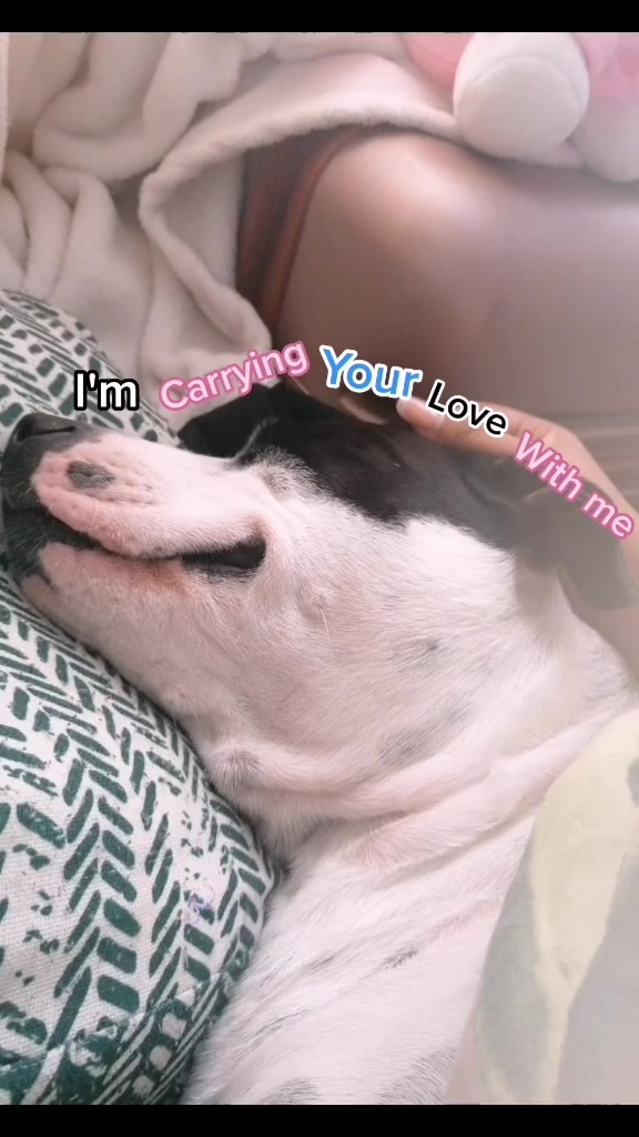 @Jade🖤