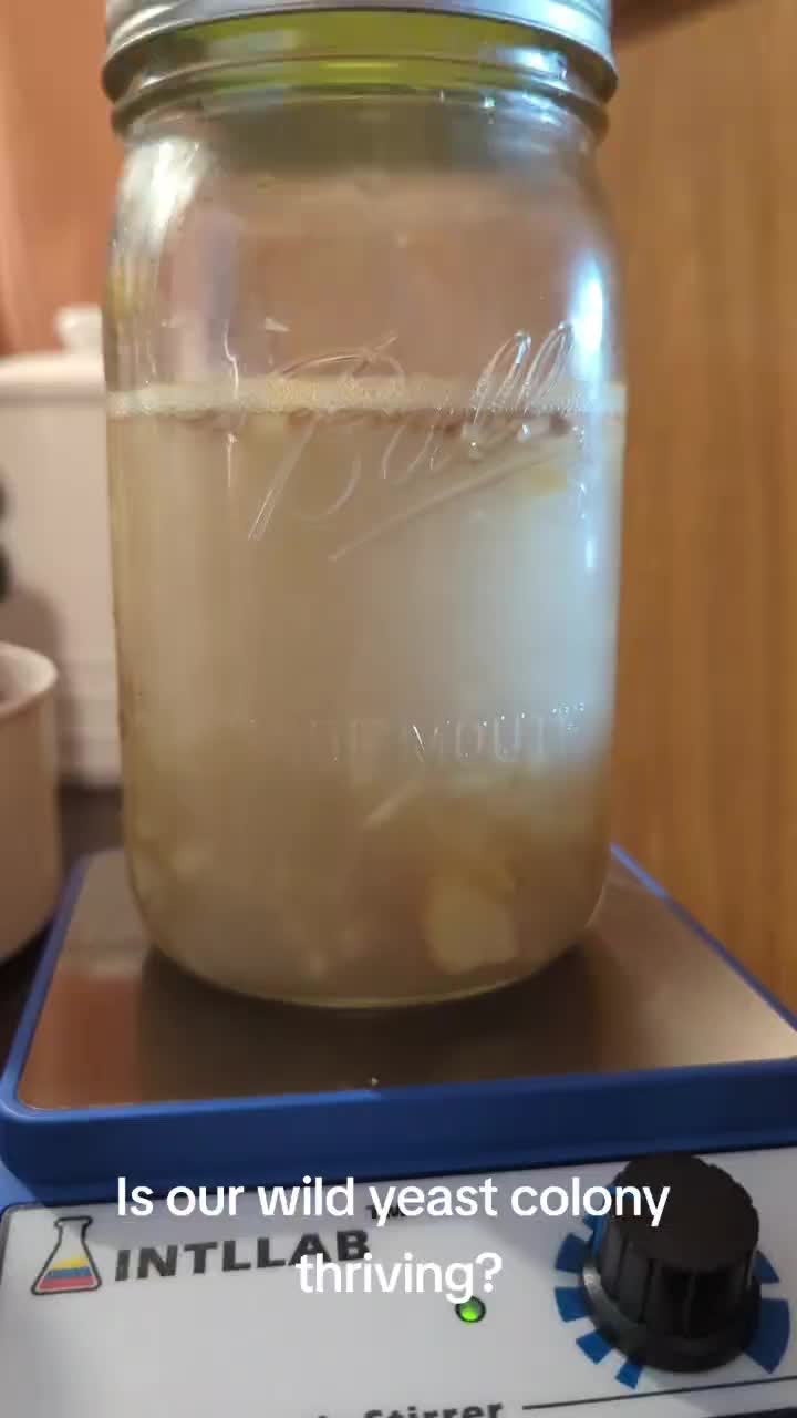 @FudgedDiceRoll