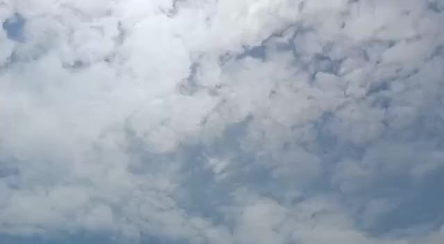 @alirajique