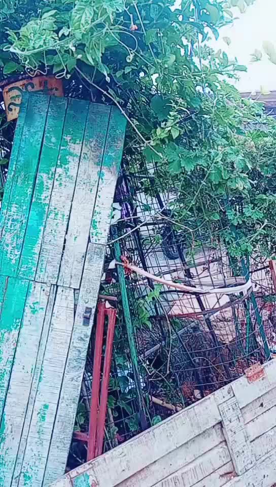 @likki priya 🤗😘