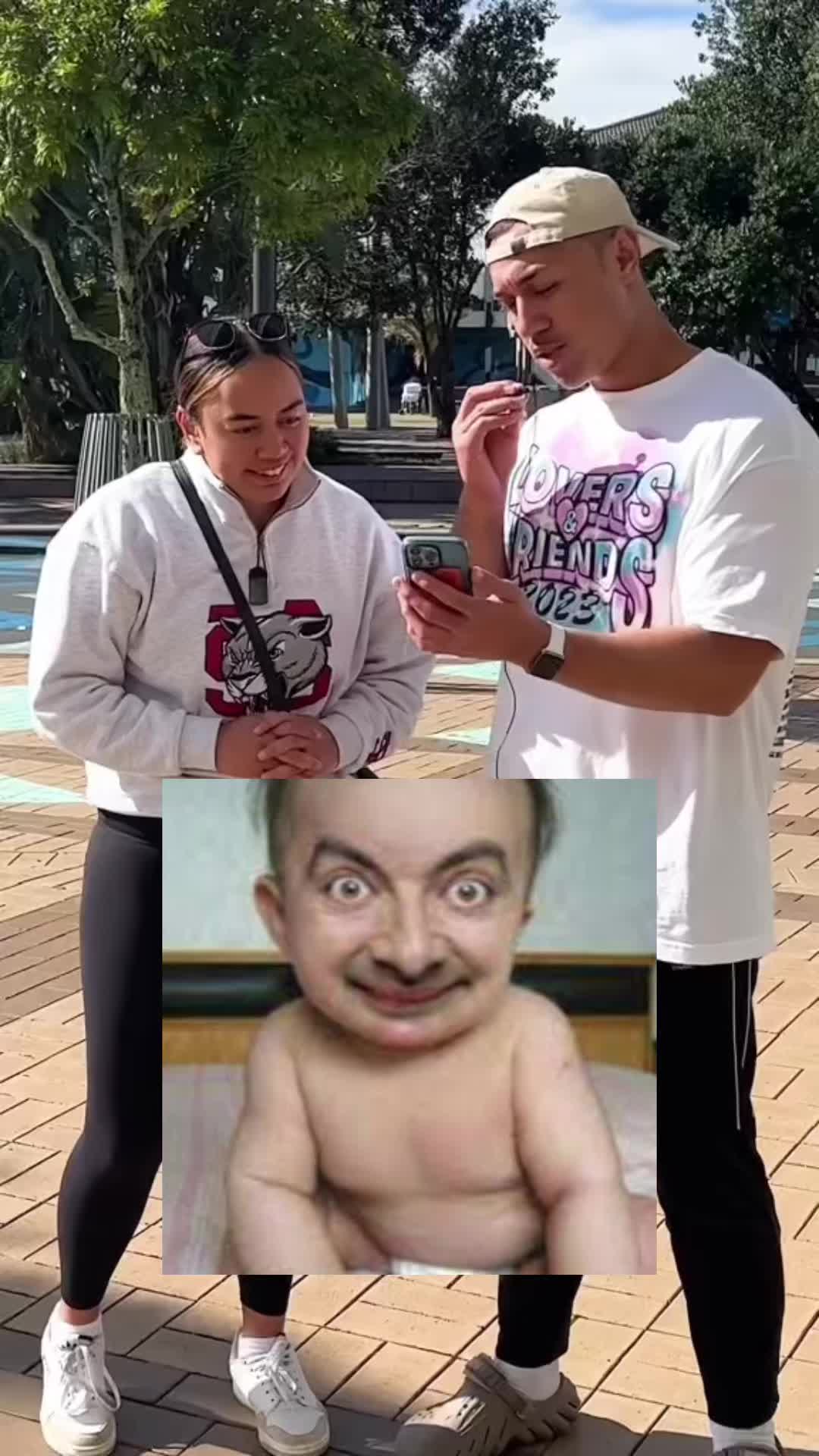 @catmemes