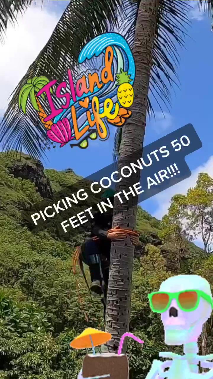 @northshoretreasurehu