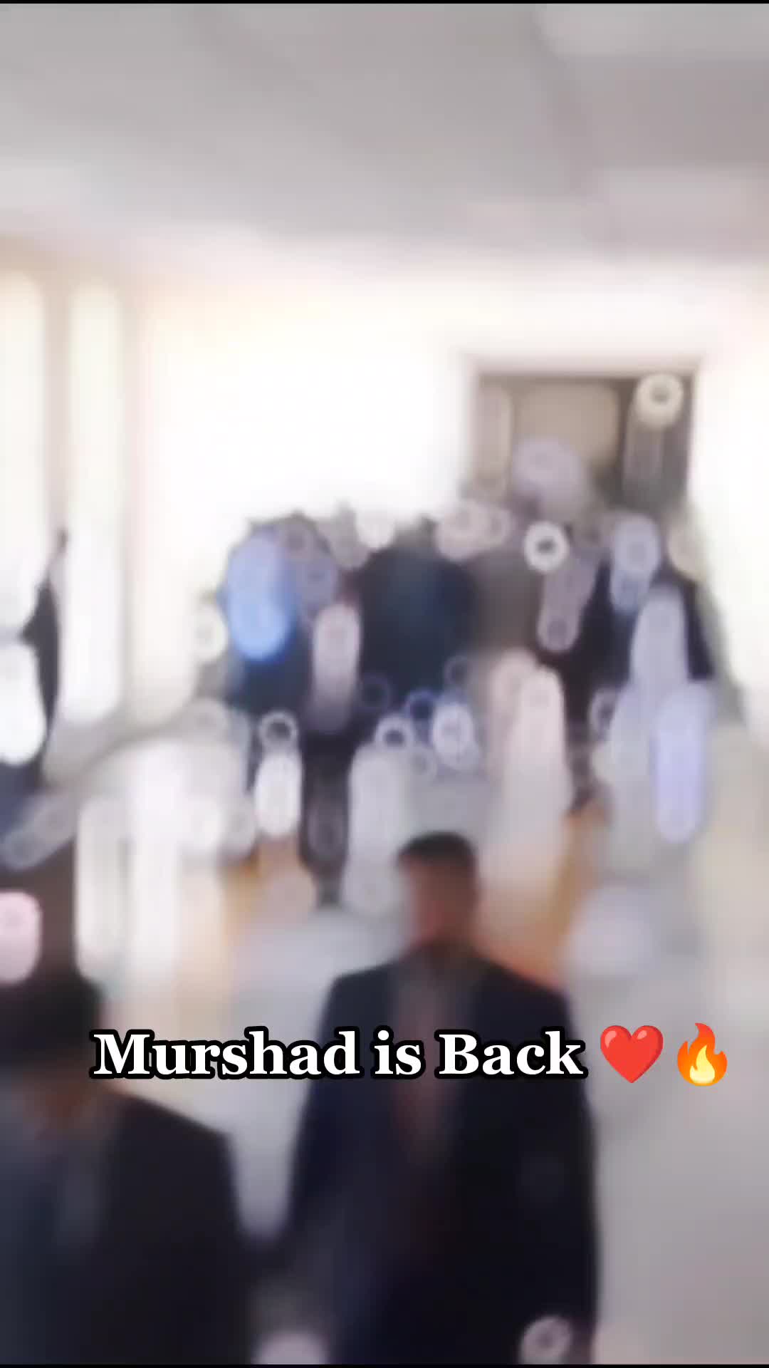 @Cornered Tigers