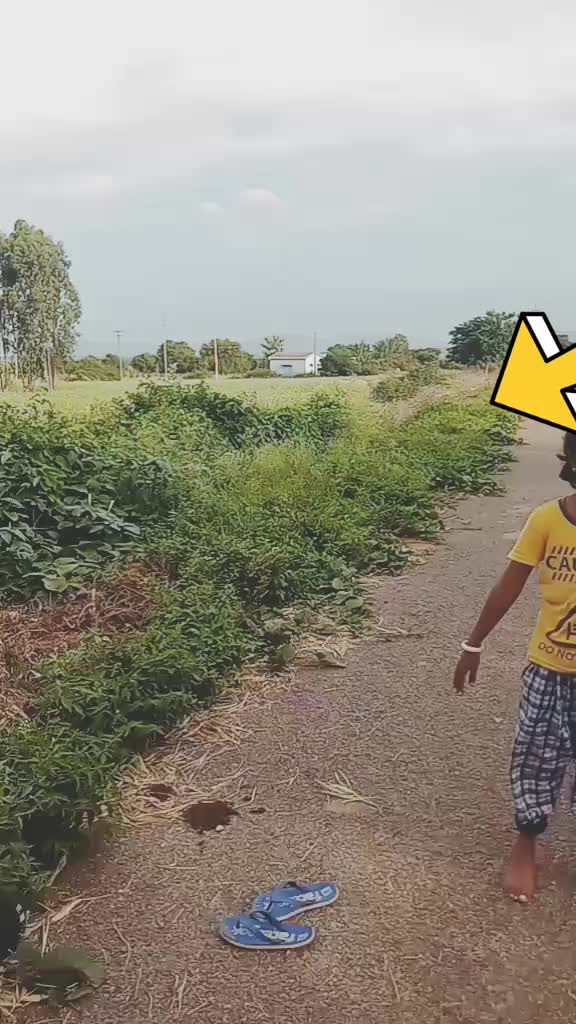 @prathapsingh9964
