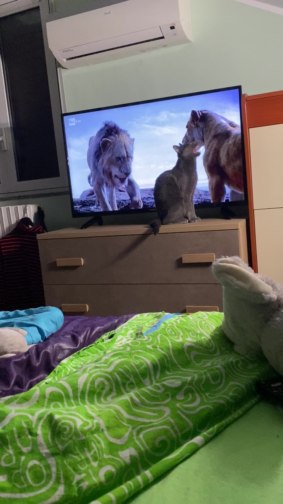 @Lucia and the cats &dog🌈😫