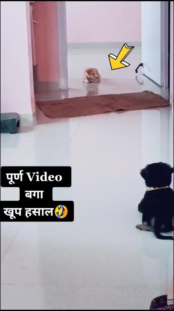 @Ajay Kate Deshmukh☑️