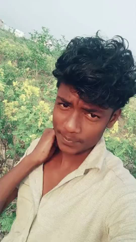 @S Yovel Yovel