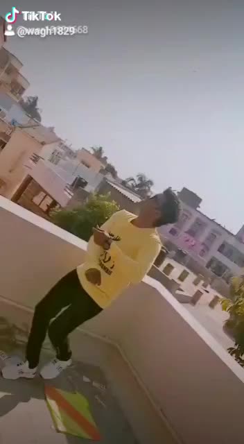 @Nit'z Tiger