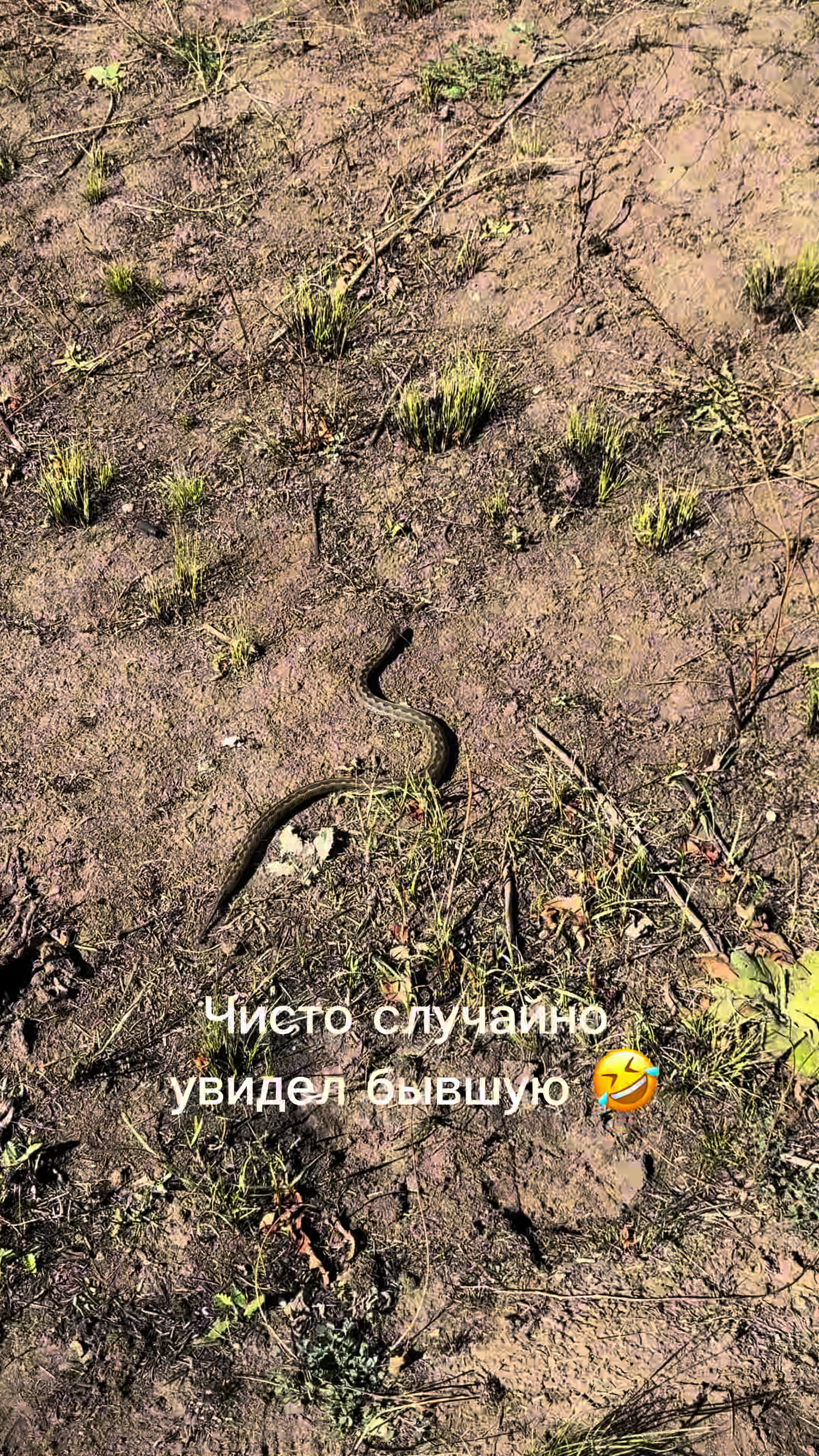 @ 🇺🇦 ꑭ