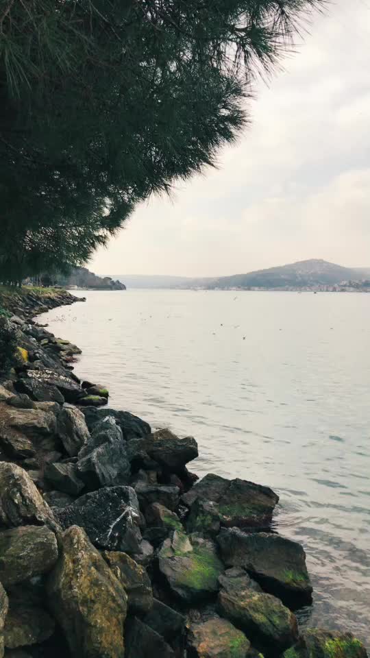 @Adnan Yalçın