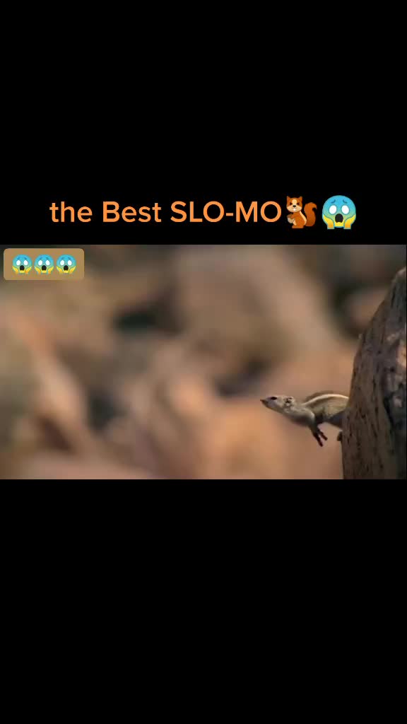 @shivam28813_v