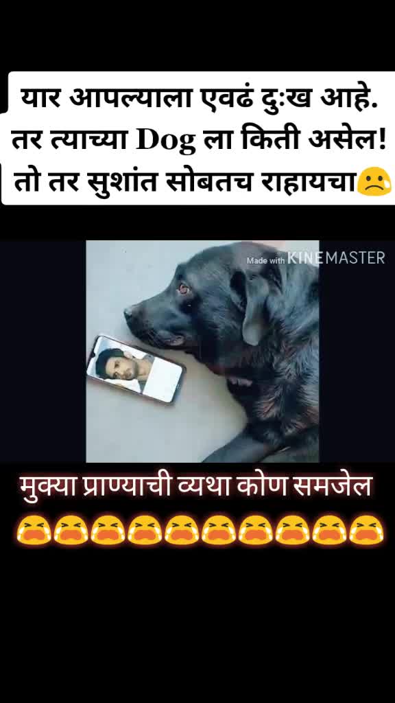 @Ravindra Naik