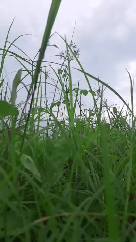 @ഏട്ടന്റെസ്വന്തംഅച്ചു