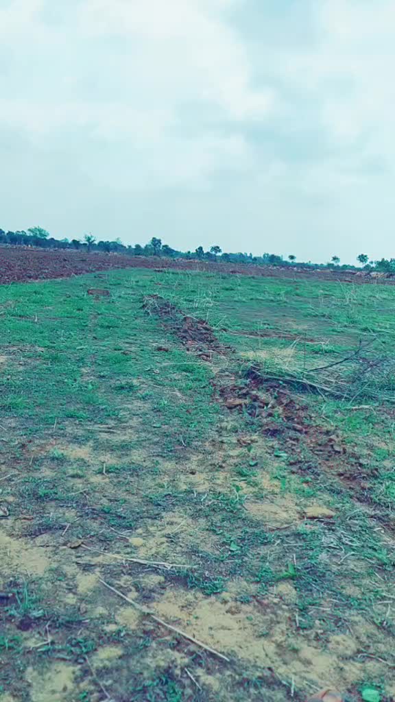 @narendra singh hada