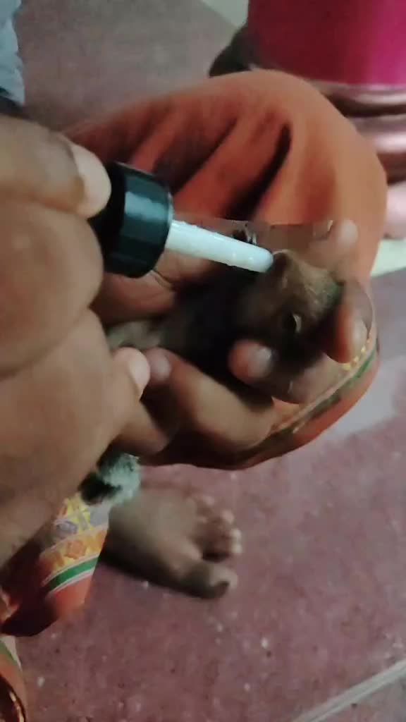 @കള്ളന്റെ😲നാട്ടുകാരൻ