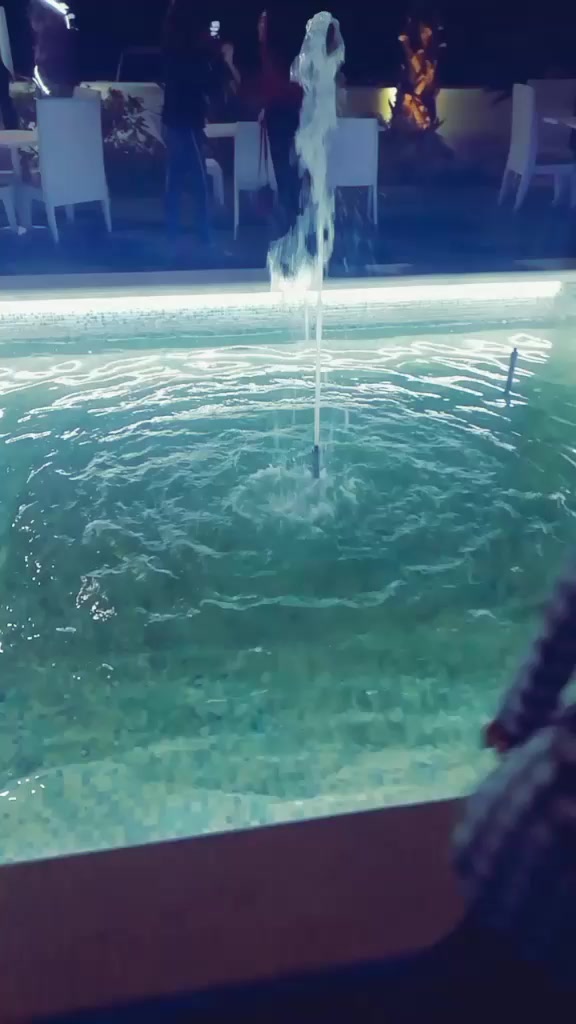 @dalilachiapperino105