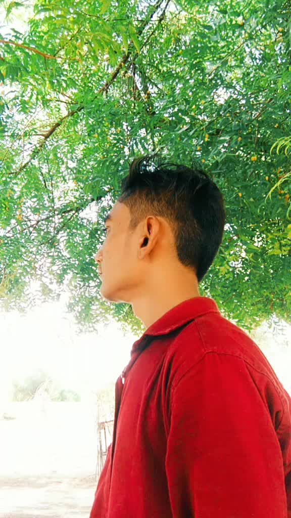 @Tik Toker