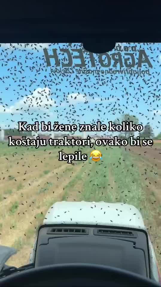 @Miroslav Radu