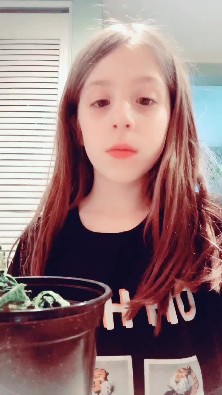 @28.sienna.harris