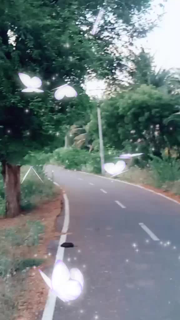 @ThalaDheena
