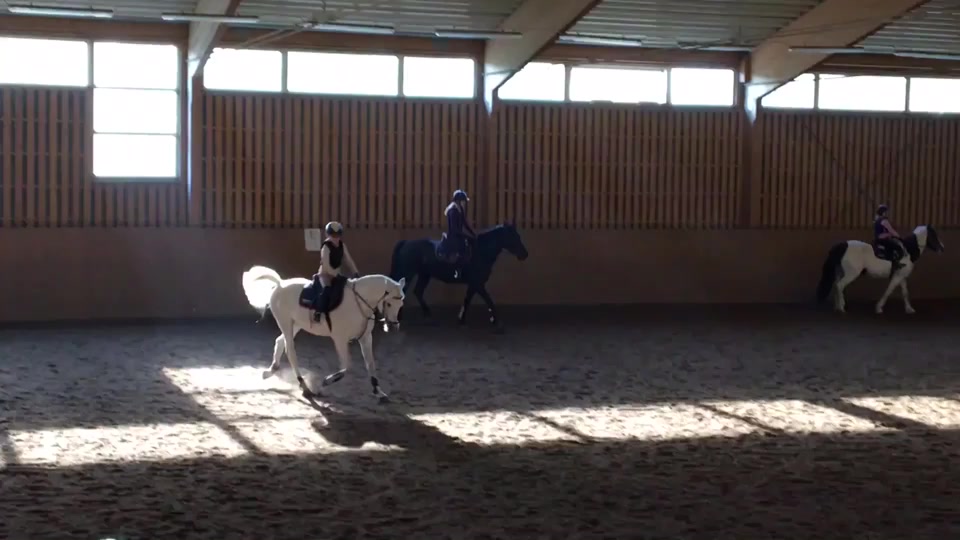 @Djur är bäst