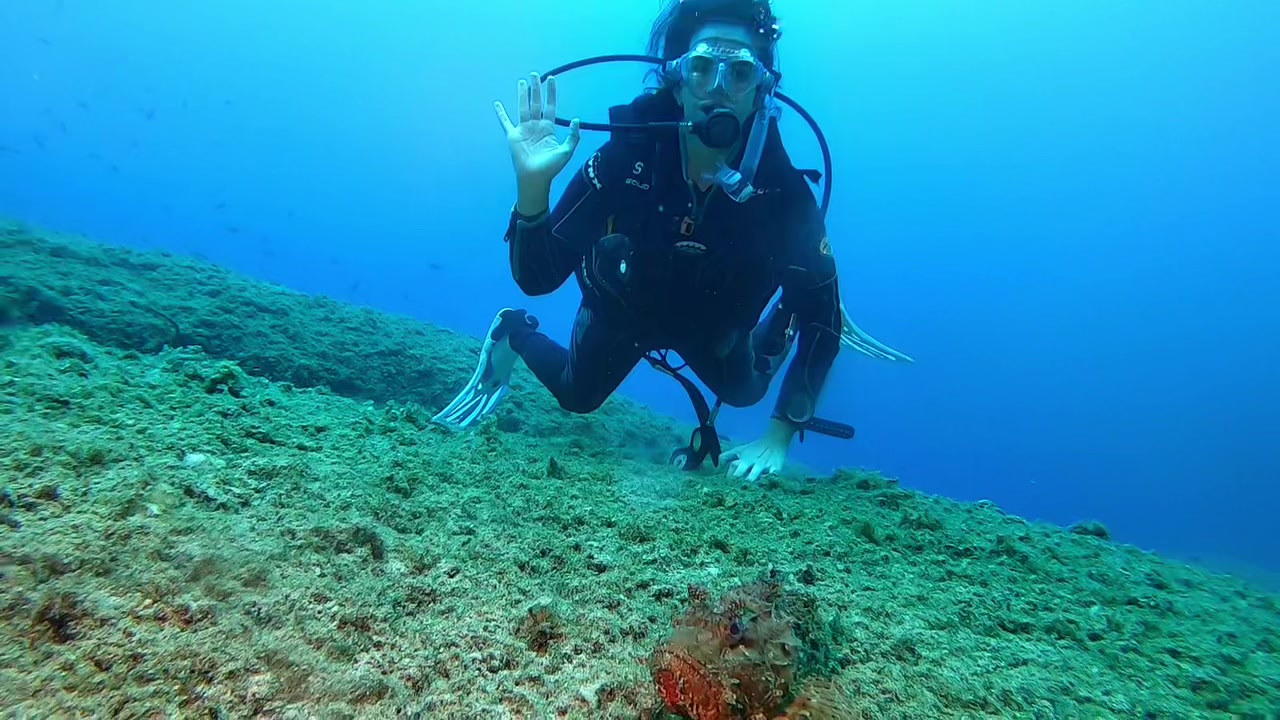@Seahorsedive